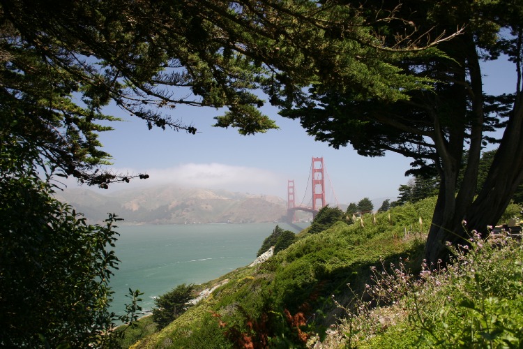 Click to Close
